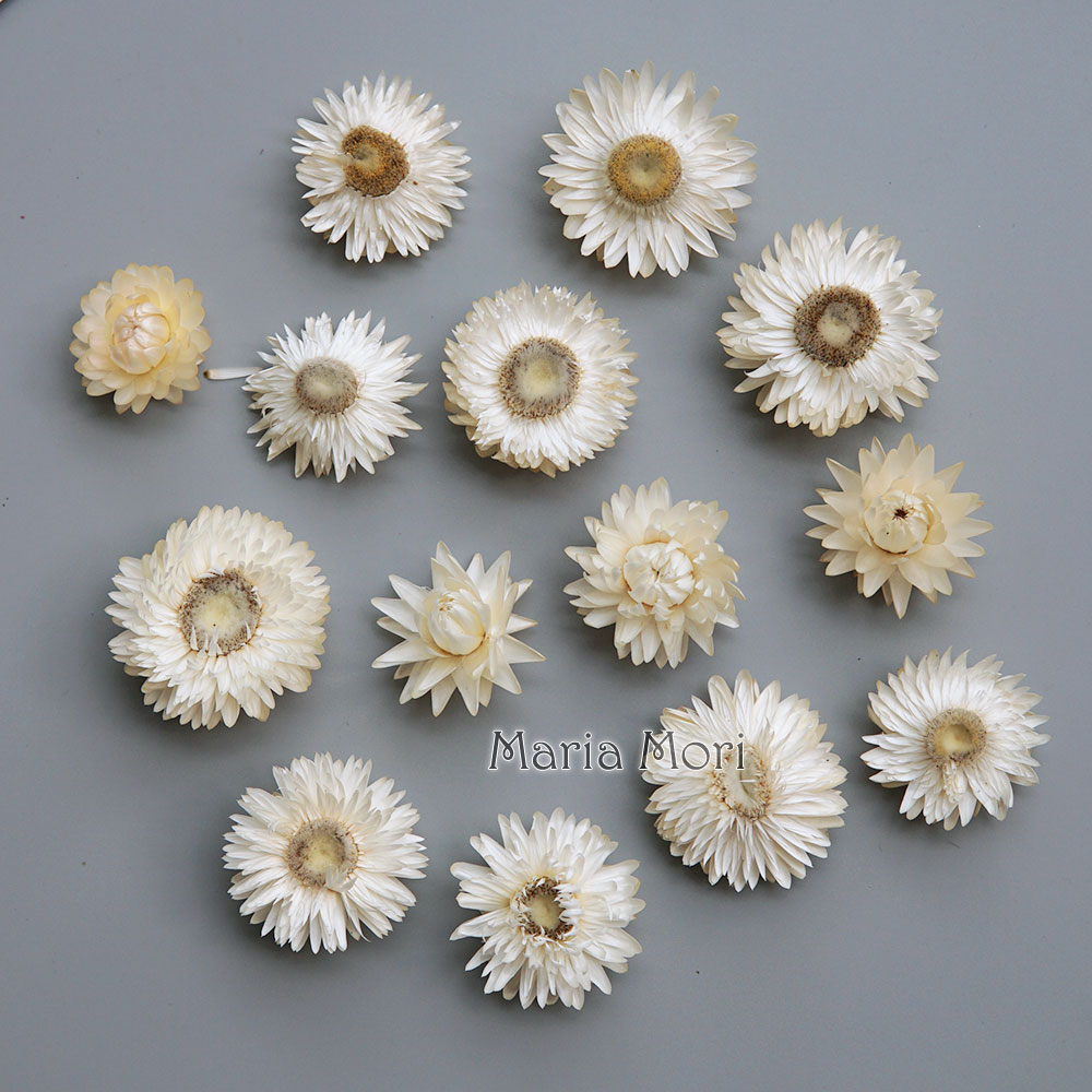 Natural Dried Colorful Chrysan - огляд і ціна Candle Making Supplies Online