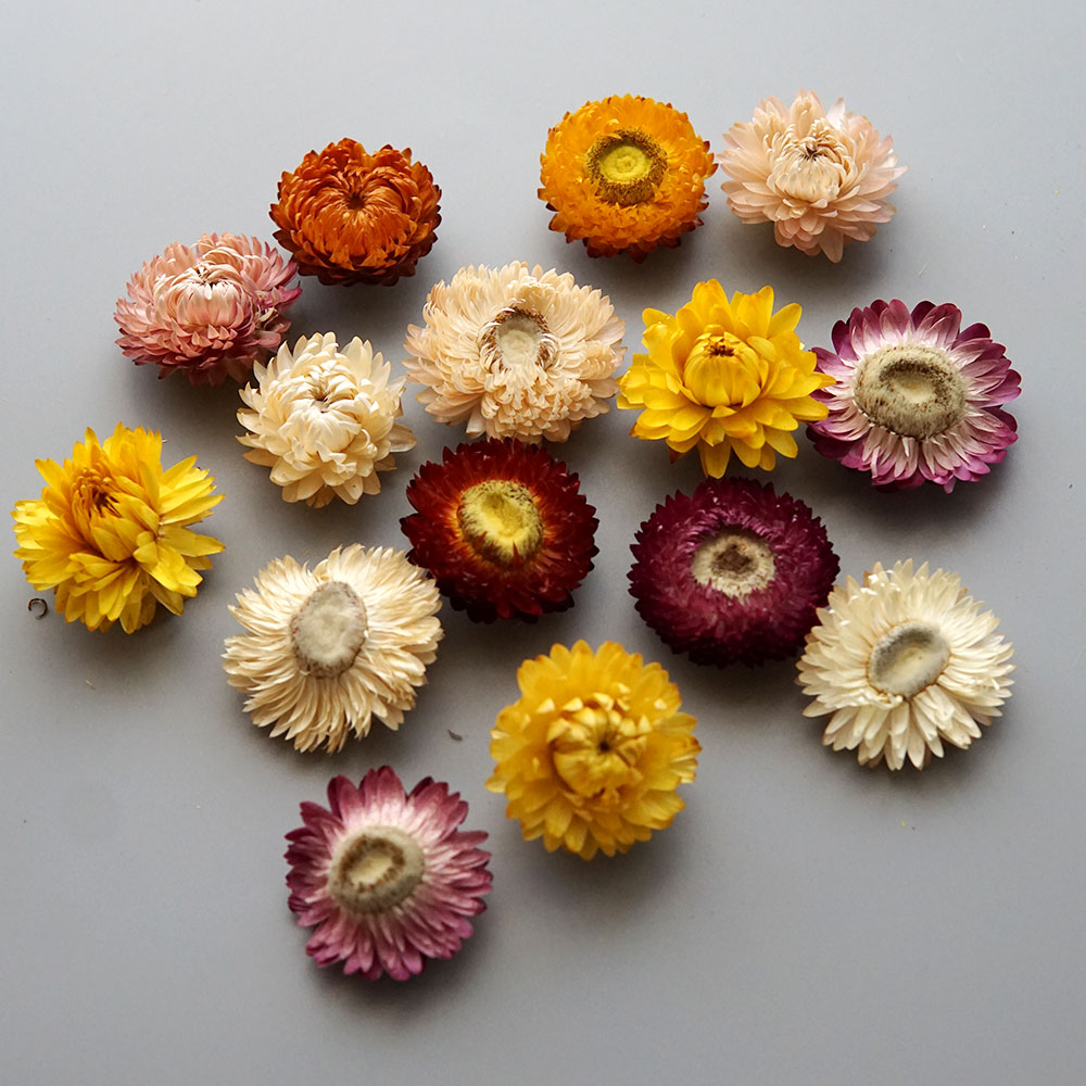 Natural Dried Colorful Chrysan - огляд і ціна Candle Making Supplies Online