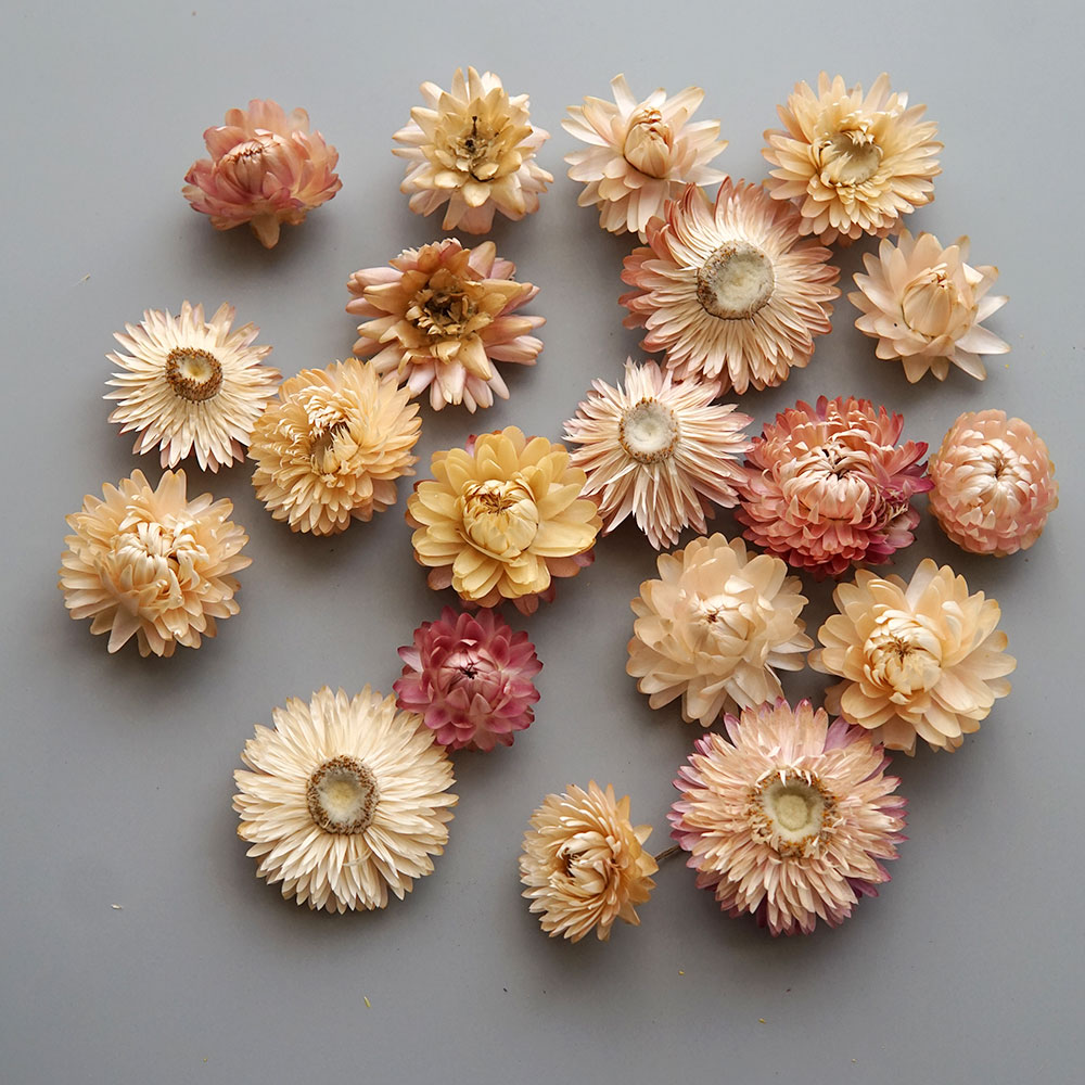 Natural Dried Colorful Chrysan - огляд і ціна Candle Making Supplies Online